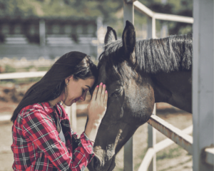 Horse Name's