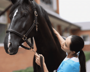 Equine Health & Veterinary Advice