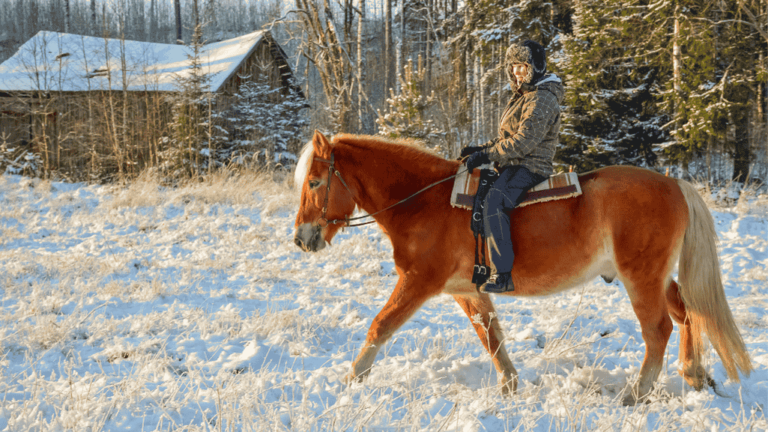 Discover the Best Winter Riding Gloves for Cold Days 64 best winter riding gloves