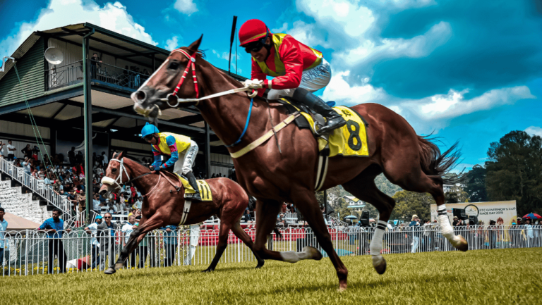 Unleash the Power of Thoroughbred Horse Racing 37 Thoroughbred Horse