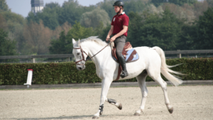 dressage speed