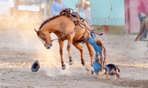 is horse riding dangerous