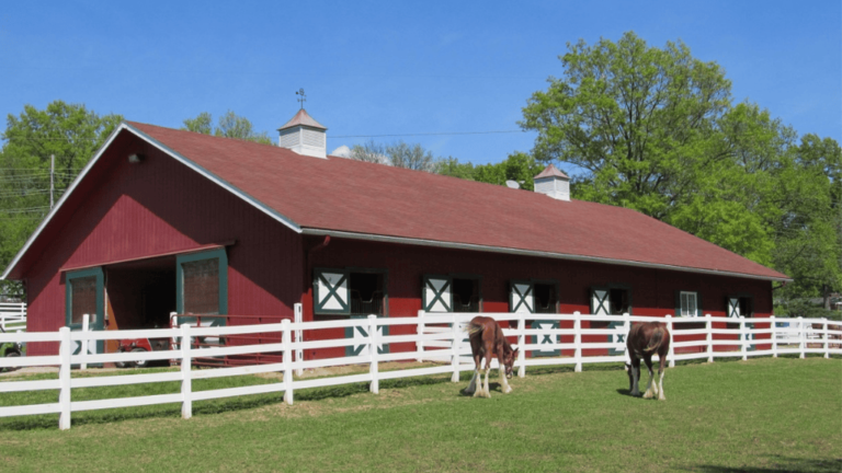 Essential Barn Rules for Safe and Efficient Operations 24 Barn Rules
