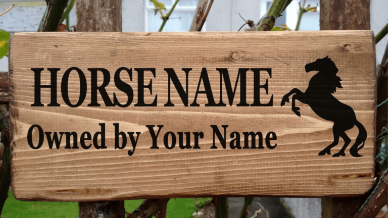 Creative Stable Names: Perfect Ideas for Your Horse Barn 45 Stable Names
