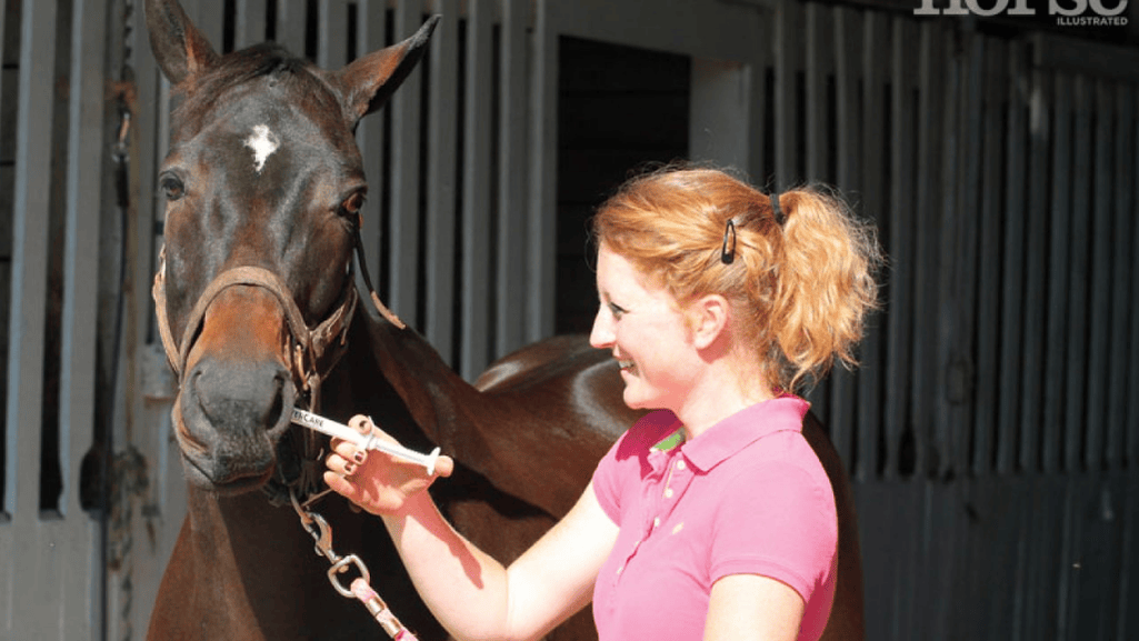 factors to consider when choosing equine dewormer