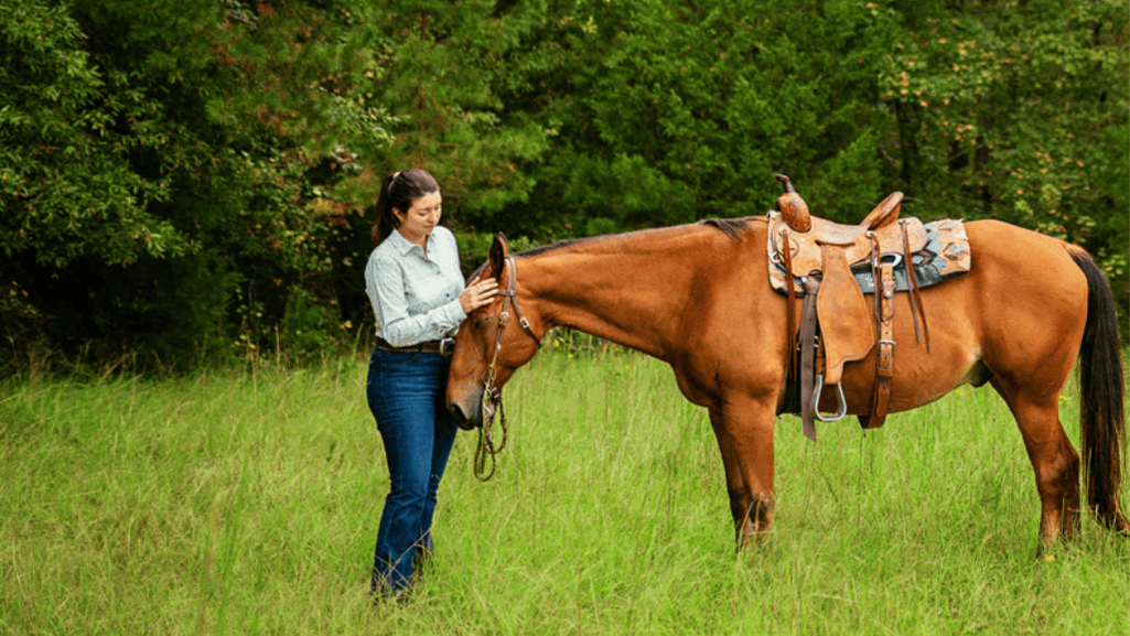 types of equine dewormers