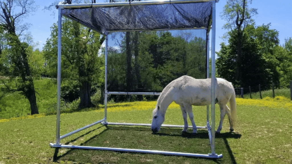 Equine Shades