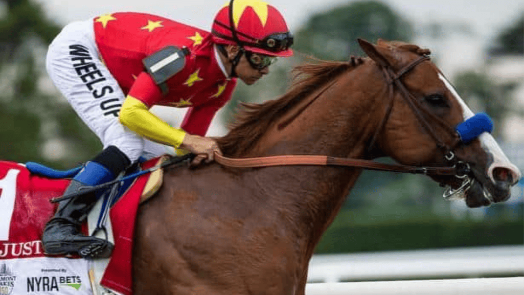 Justify Triple Crown Winner and $60 Million Dollar Sensation